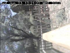 View of the bird feeder at Sat Jun 23 12:21:22 MDT 2007
