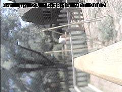 View of the bird feeder at Sat Jun 23 15:38:19 MDT 2007