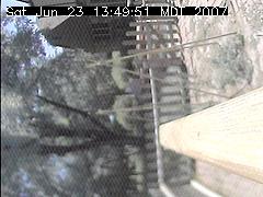 View of the bird feeder at Sat Jun 23 13:49:51 MDT 2007