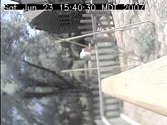 View of the bird feeder at Sat Jun 23 15:40:30 MDT 2007