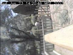 View of the bird feeder at Sat Jun 23 14:20:46 MDT 2007