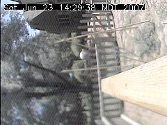 View of the bird feeder at Sat Jun 23 14:29:38 MDT 2007