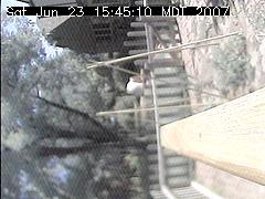 View of the bird feeder at Sat Jun 23 15:45:10 MDT 2007