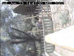 View of the bird feeder at Sat Jun 23 14:47:20 MDT 2007