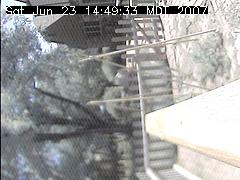 View of the bird feeder at Sat Jun 23 14:49:33 MDT 2007