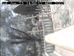 View of the bird feeder at Sat Jun 23 14:56:12 MDT 2007
