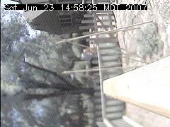 View of the bird feeder at Sat Jun 23 14:58:25 MDT 2007