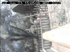 View of the bird feeder at Sat Jun 23 15:05:06 MDT 2007