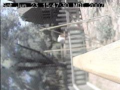 View of the bird feeder at Sat Jun 23 15:47:30 MDT 2007