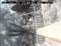 View of the bird feeder at Sat Jun 23 15:49:42 MDT 2007