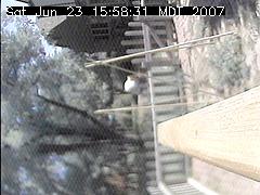 View of the bird feeder at Sat Jun 23 15:58:31 MDT 2007