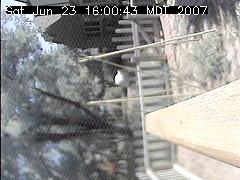 View of the bird feeder at Sat Jun 23 16:00:43 MDT 2007