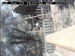 View of the bird feeder at Sat Jun 23 16:02:55 MDT 2007
