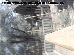 View of the bird feeder at Sat Jun 23 16:05:11 MDT 2007