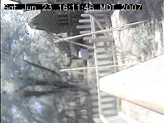 View of the bird feeder at Sat Jun 23 16:11:46 MDT 2007