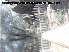 View of the bird feeder at Sat Jun 23 16:13:58 MDT 2007