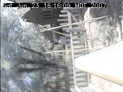 View of the bird feeder at Sat Jun 23 16:16:09 MDT 2007