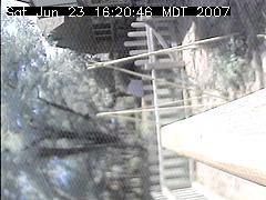 View of the bird feeder at Sat Jun 23 16:20:46 MDT 2007