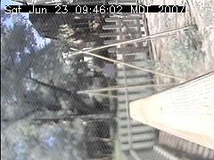 View of the bird feeder at Sat Jun 23 09:46:02 MDT 2007