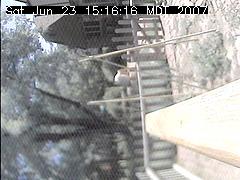 View of the bird feeder at Sat Jun 23 15:16:16 MDT 2007