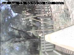 View of the bird feeder at Sat Jun 23 10:10:20 MDT 2007