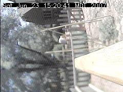 View of the bird feeder at Sat Jun 23 15:20:41 MDT 2007