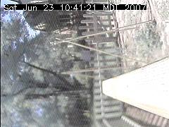 View of the bird feeder at Sat Jun 23 10:41:21 MDT 2007