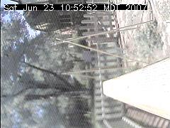 View of the bird feeder at Sat Jun 23 10:52:52 MDT 2007