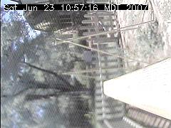 View of the bird feeder at Sat Jun 23 10:57:16 MDT 2007