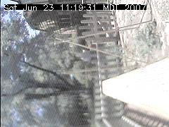 View of the bird feeder at Sat Jun 23 11:19:31 MDT 2007