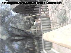 View of the bird feeder at Sat Jun 23 15:25:07 MDT 2007
