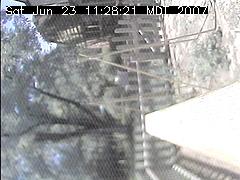 View of the bird feeder at Sat Jun 23 11:28:21 MDT 2007
