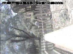 View of the bird feeder at Sat Jun 23 11:39:23 MDT 2007