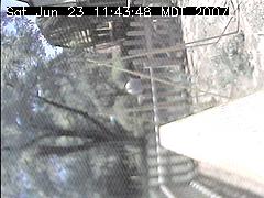 View of the bird feeder at Sat Jun 23 11:43:48 MDT 2007