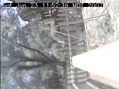 View of the bird feeder at Sat Jun 23 11:52:39 MDT 2007