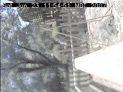 View of the bird feeder at Sat Jun 23 11:54:51 MDT 2007