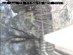 View of the bird feeder at Sat Jun 23 11:59:16 MDT 2007